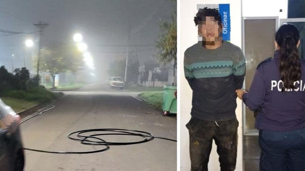 Agentes de la Patrulla Urbana aprehendieron a un ladrón de cables