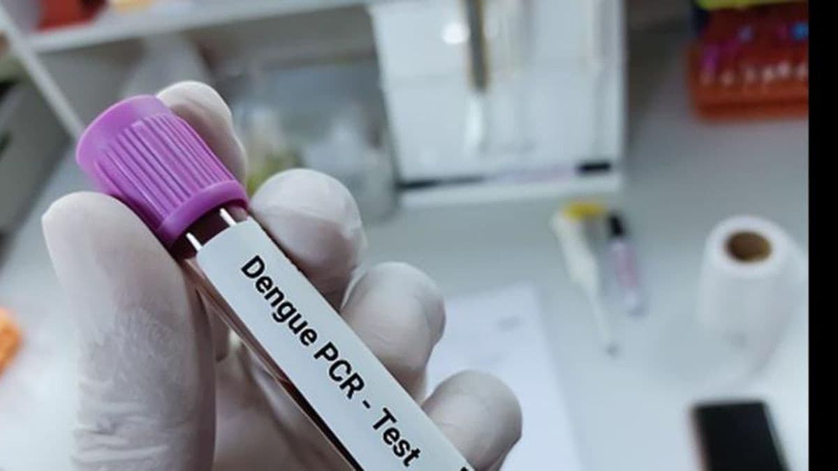 Respuesta al dengue y otros arbovirus: una política pública con epicentro en Pergamino