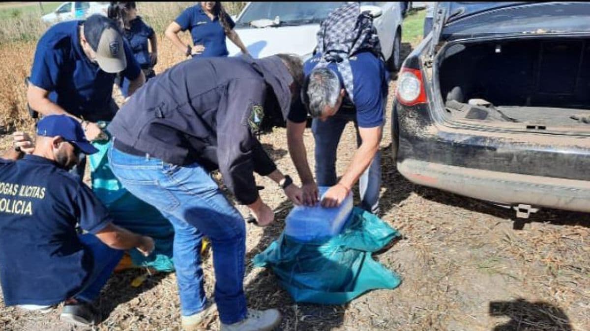Hallaron otros 60 kilogramos de cocaína en un campo en Rancagua