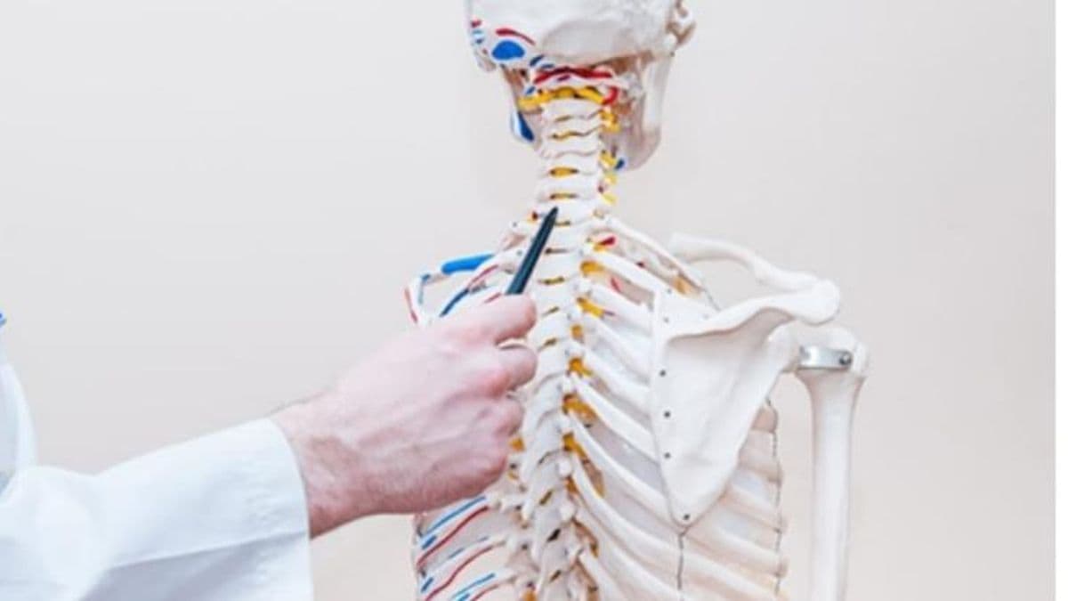 Campaña informativa y de prevención de la Espondilitis Anquilosante