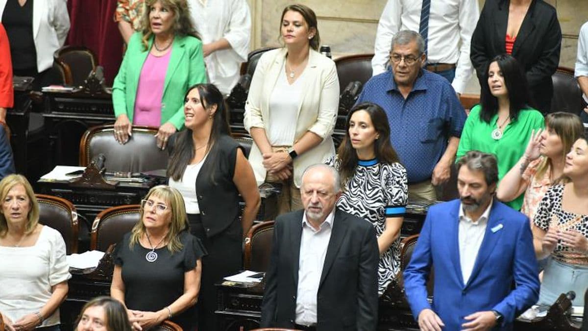 El oficialismo festejó en Diputados al convertir en ley la moratoria previsional