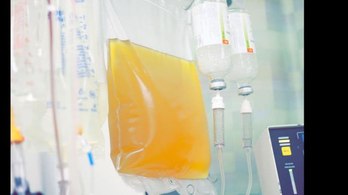 Marcelo Rojas: "La demanda de plasma para pacientes con Covid-19 es permanente"
