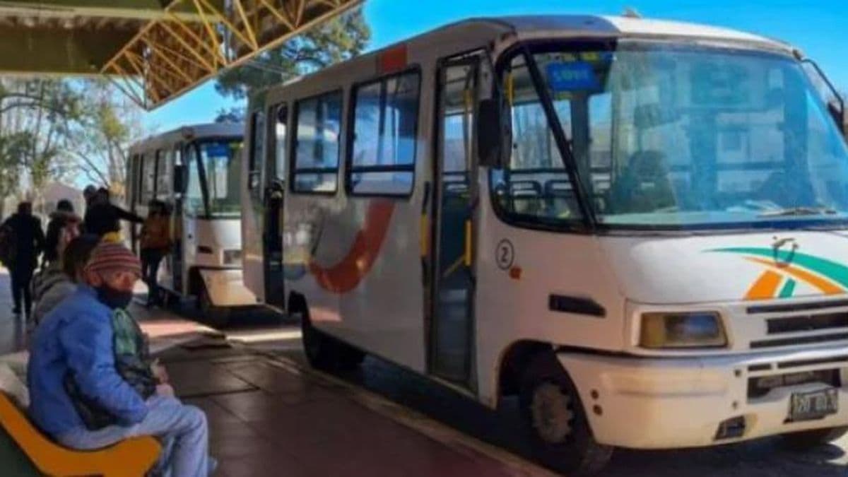 Se levantó la medida de fuerza y circulan con normalidad los colectivos