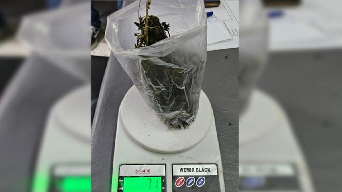 En un local de esparcimiento detuvieron a un sujeto con marihuana