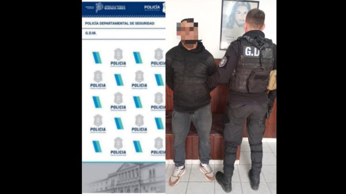 Realizó varios robos en un supermercado, golpeó al dueño y lo aprehendieron