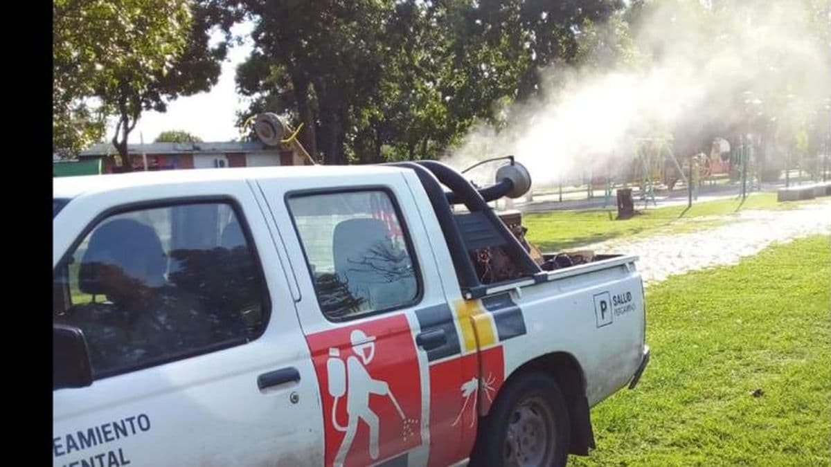 Brotes de Dengue en ciudades de la región, mientras en Pergamino los casos siguen subiendo