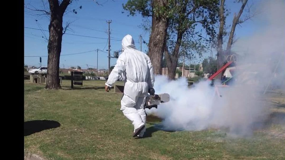 Pergamino experimenta un brote de dengue y Fiebre Chikungunya