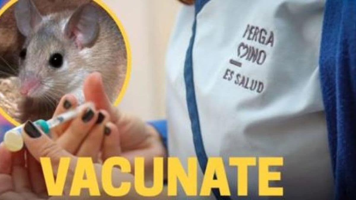 Desde Salud del Municipio instan a vacunarse contra la Fiebre Hemorrágica