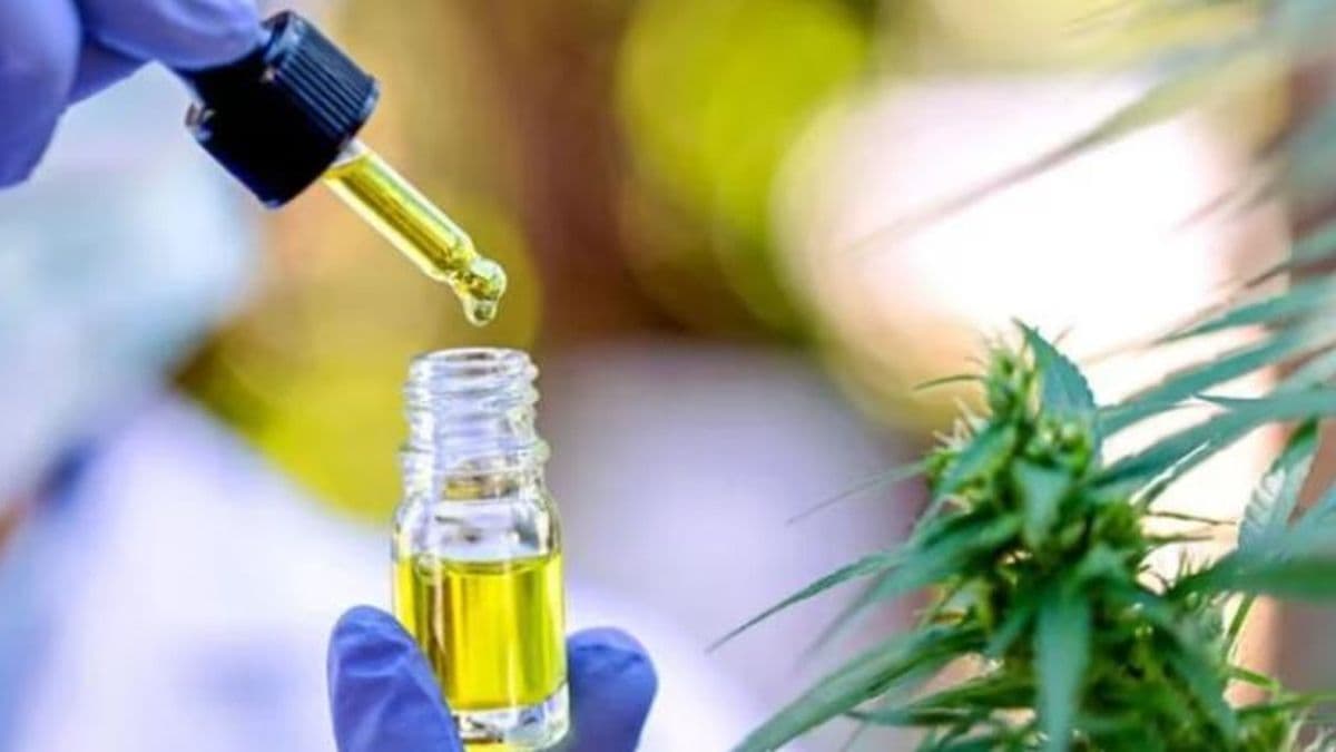 Presentarán el espacio "Cannabis Terapéutico" del Hospital "San José".