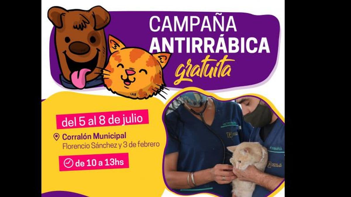 Campaña de vacunación antirrábica gratuita