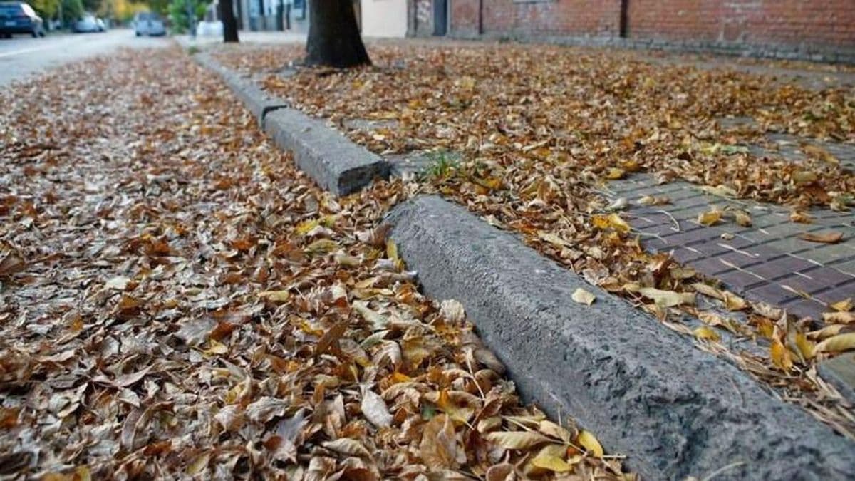 Barrido de las calles: se pide la colaboración de vecinos y automovilistas