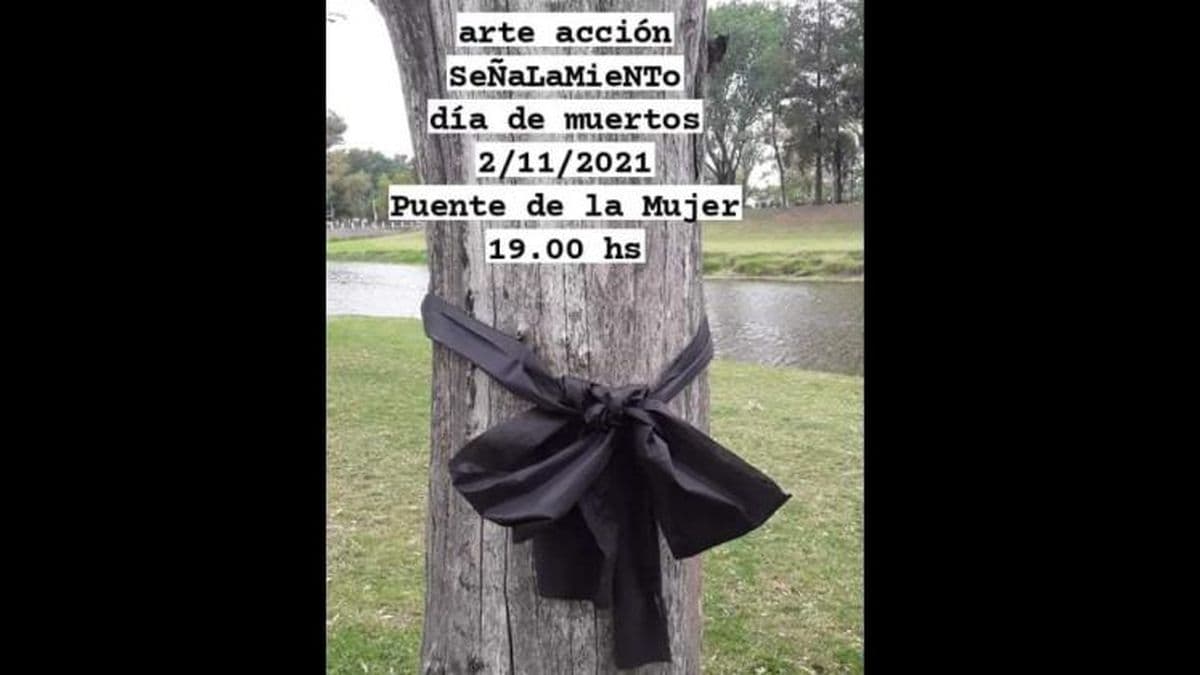 Realizarán una actividad ambiental contra la poda incorrecta del arbolado