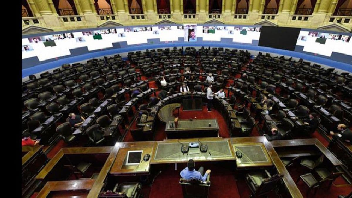 Los diputados pergaminenses y su balance de la labor legislativa 2020