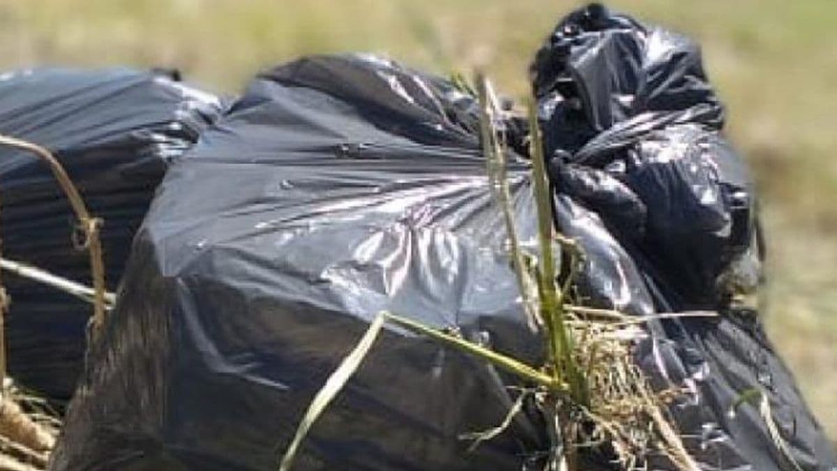 Nuevo cronograma para la recolección de los residuos voluminosos