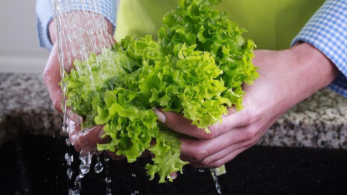 Bromatología concientiza a la población sobre la inocuidad de los alimentos