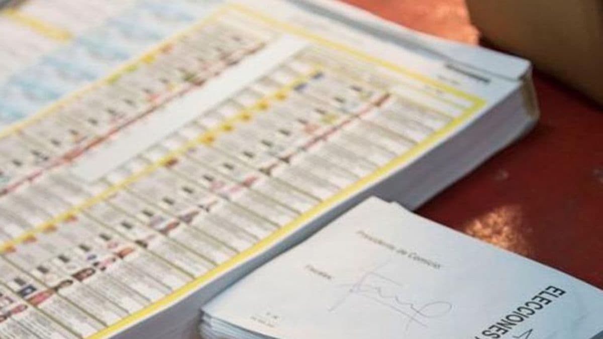 Elecciones 2021: Ya está disponible el padrón provisorio para verificar si los datos registrales son correctos