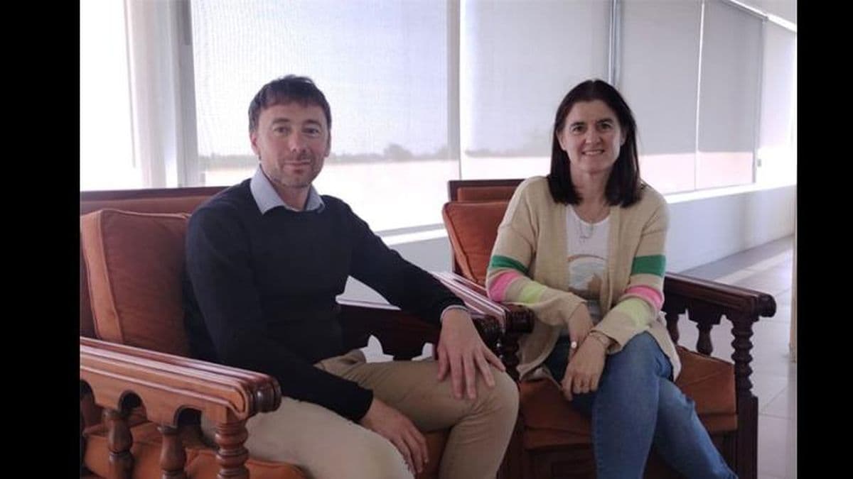 Internas UCR: dos listas compiten por la dirigencia del comité local