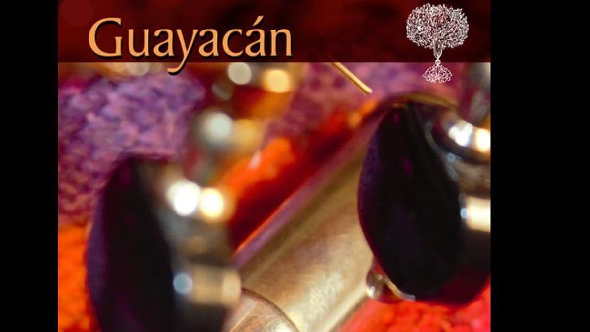 "Guayacán", nuevo álbum del pergaminense Claudio Ceccoli