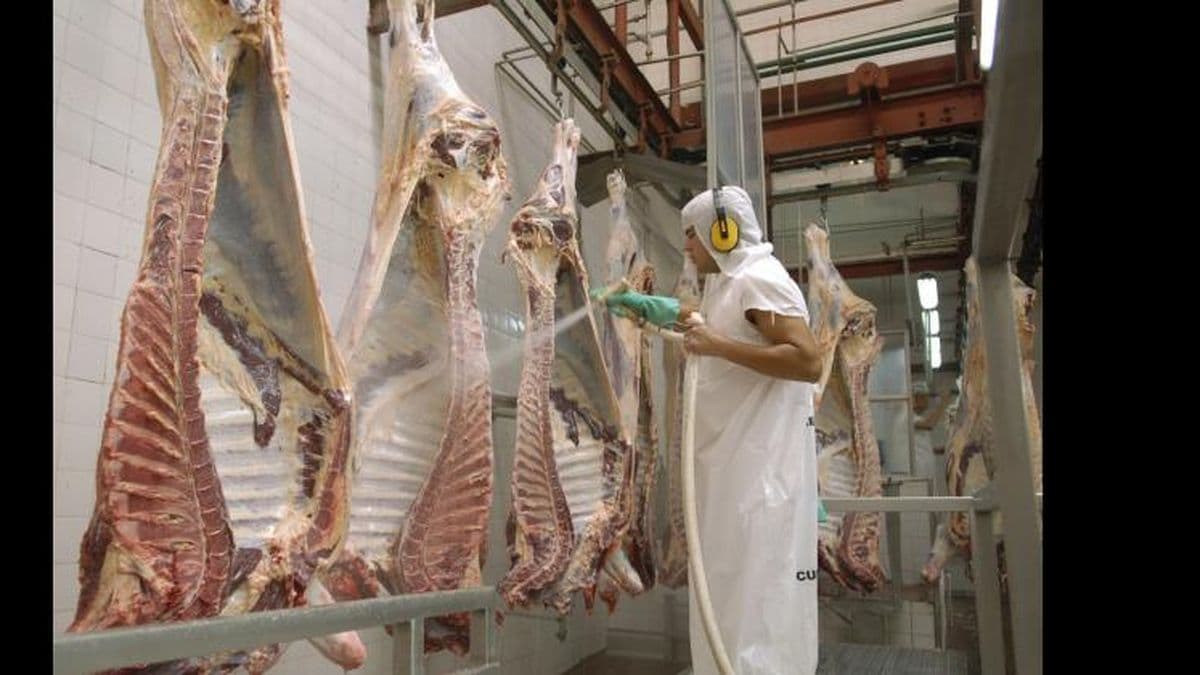 Carne: exportaciones hasta el 50% y siete cortes quedan en el país
