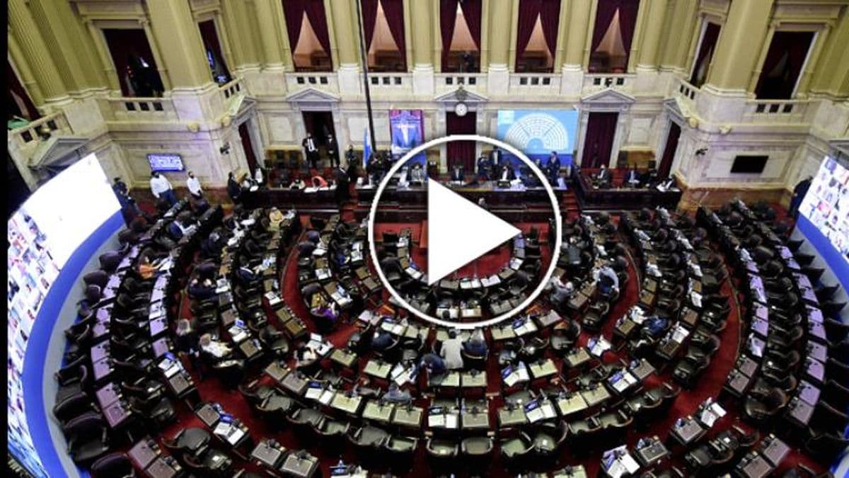 Diputados analiza cambios en los regímenes de licencias maternales, paternales y parentales