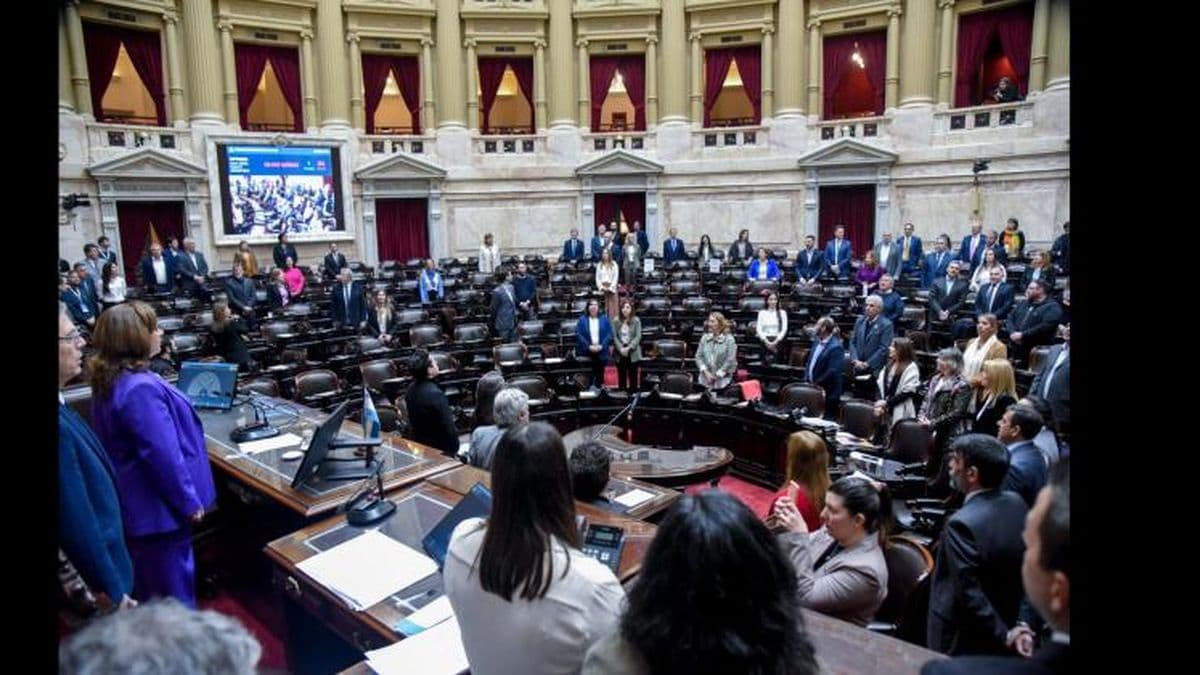 Diputados avanza en la reforma de la Ley de Estatización de Aerolíneas Argentinas
