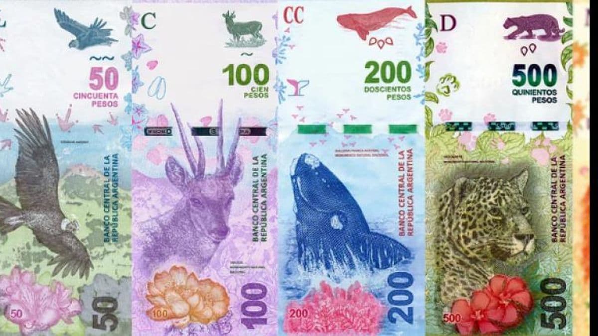 Nuevos billetes: en qué personajes piensa el Gobierno para reemplazar a los animales