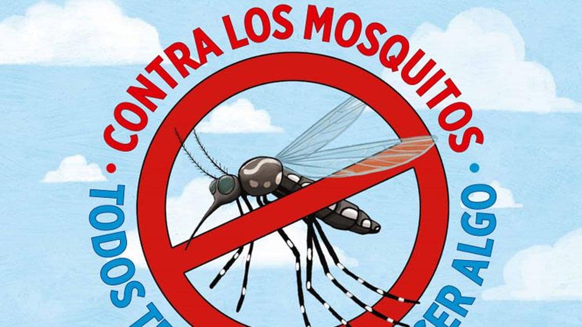 Chikungunya: escaló a 47 el número de casos en la ciudad