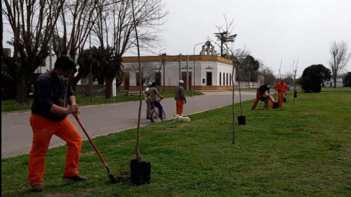 Realizan en Manuel Ocampo un Plan de Forestación