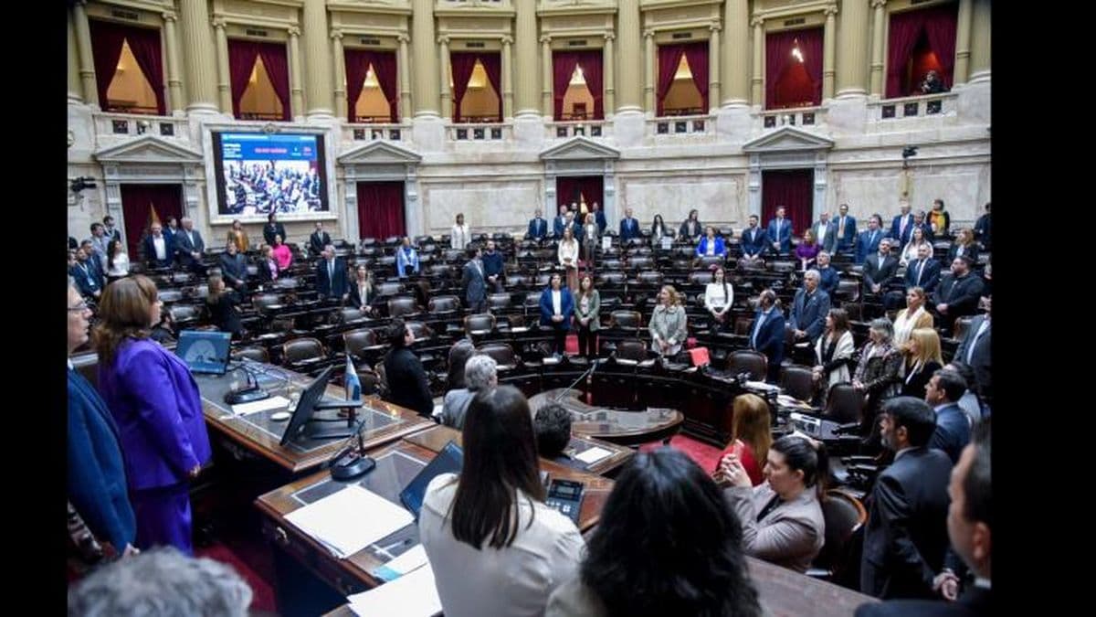 Desde las 11:00 Diputados comienza a tratar el proyecto de "Compre sin IVA"