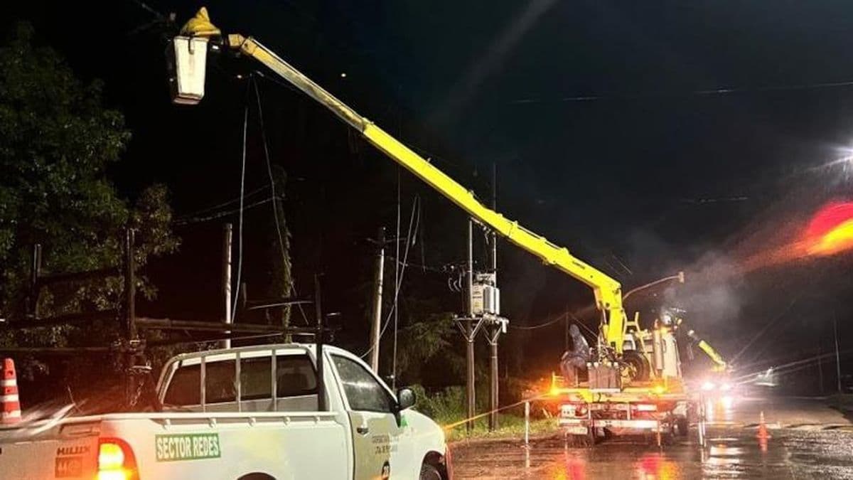 Gran despliegue de la Cooperativa Eléctrica tras la tormenta