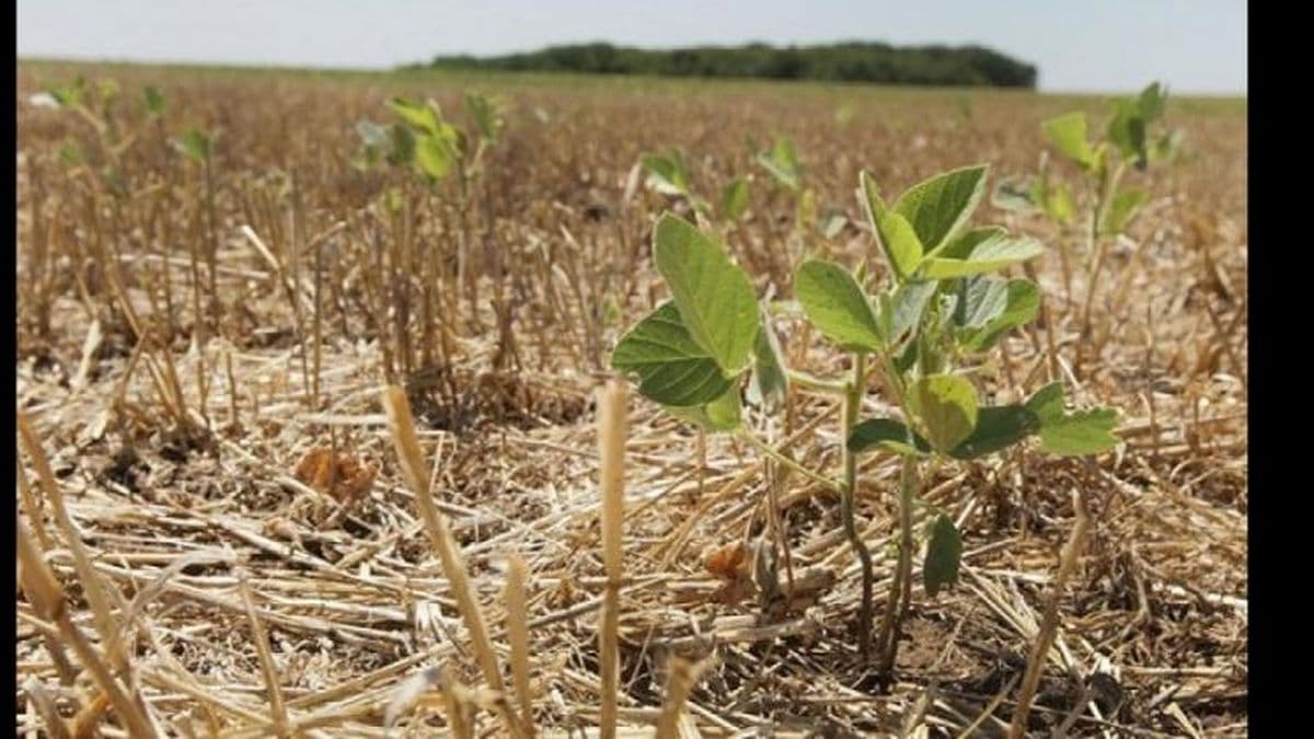Emergencia agropecuaria: ya se puede tramitar el certificado