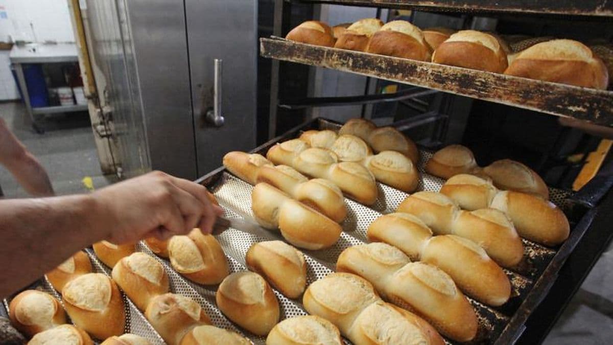 Panaderos bonaerenses aseguran que el pan con el precio acordado se conseguirá en 15 días