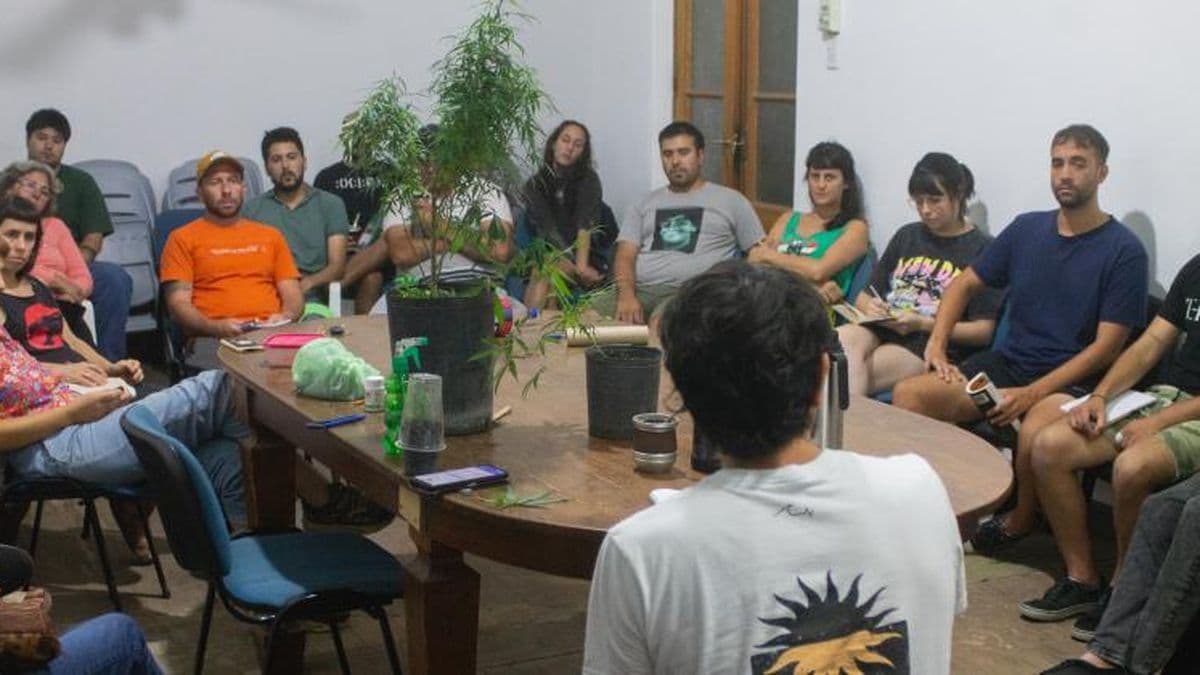 Pergamino será sede de la primera Jornada de Cannabis Terapéutico