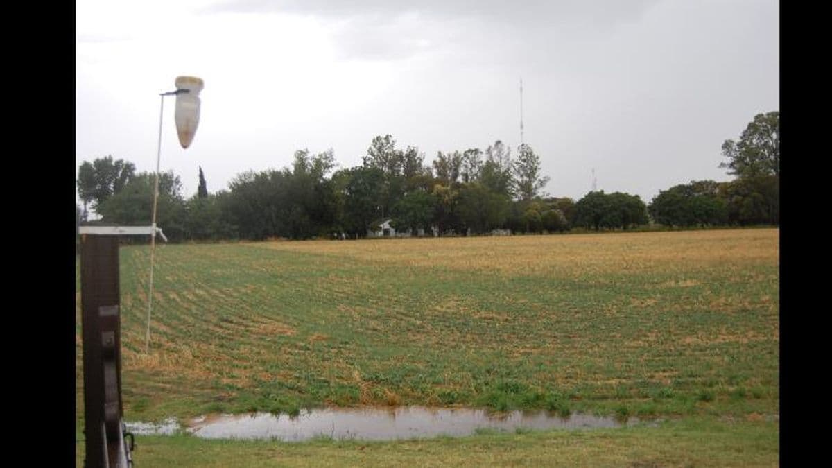 Registro de lluvias del viernes y de ayer