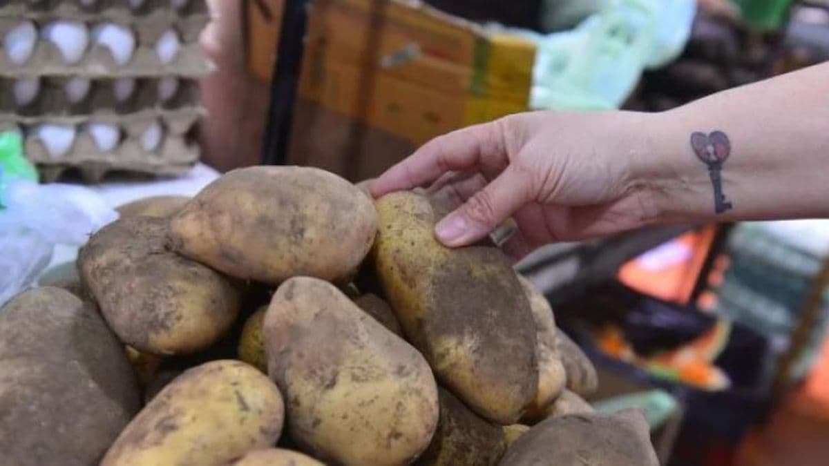 El precio de la papa no cede y hay ofertas en cítricos y verduras de hoja