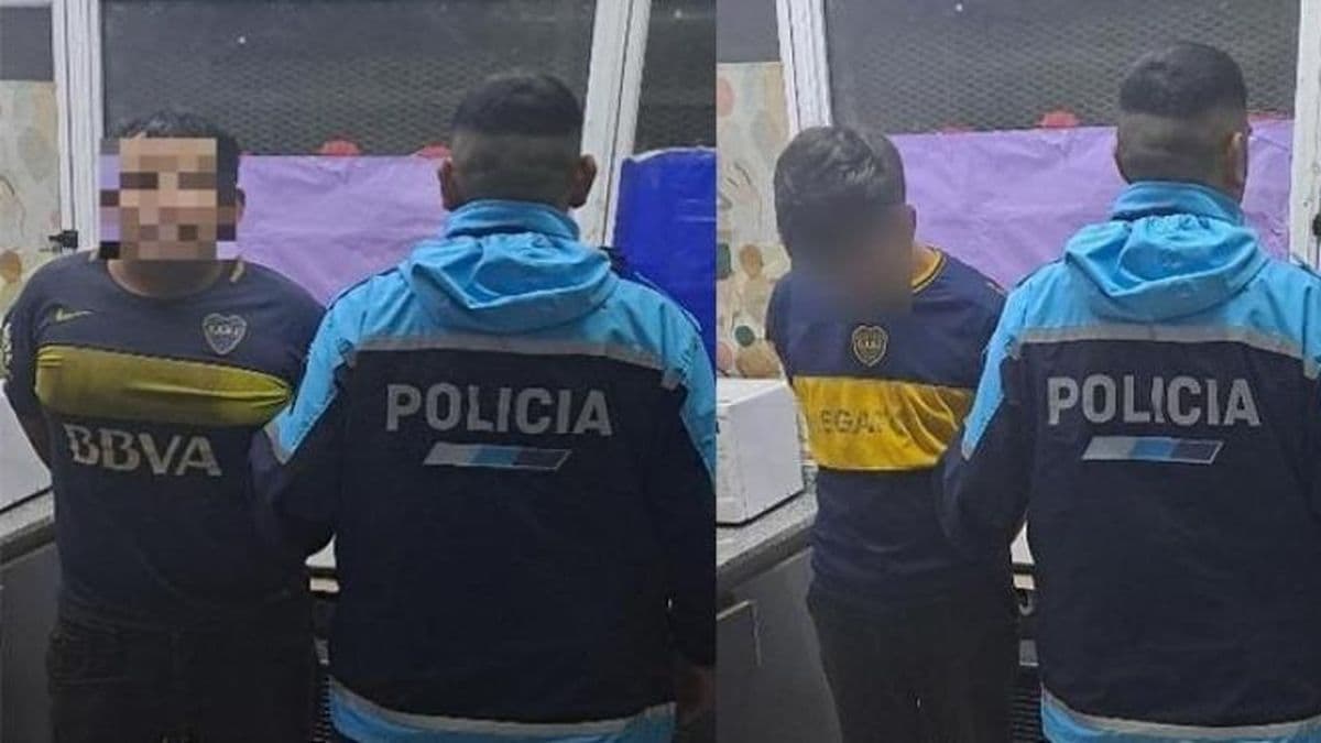 Dos ladrones robaron cuatro bolsas de papas de una verdulería