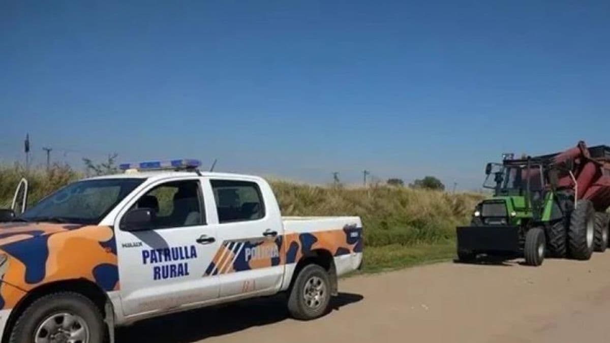 Inseguridad rural: se robaron 33 animales vacunos de un campo de Salto