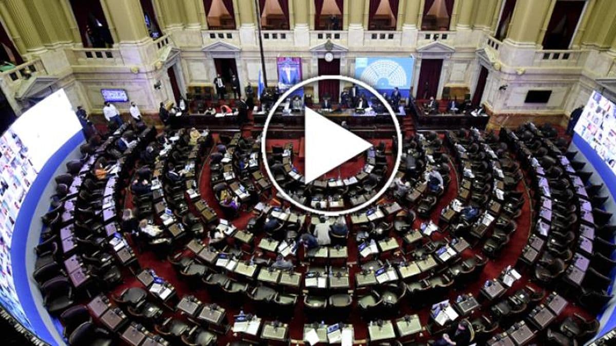 Diputados trabaja en avances para discapacidad