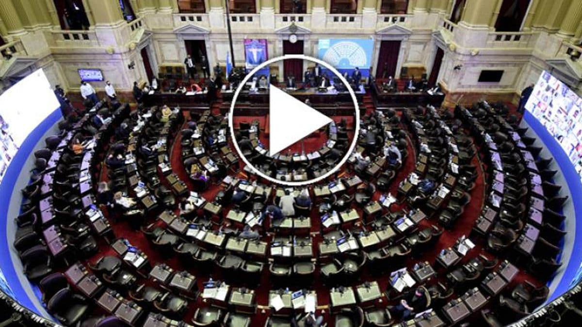 Desde las 15:00 el presidente del Inaes expone en Diputados