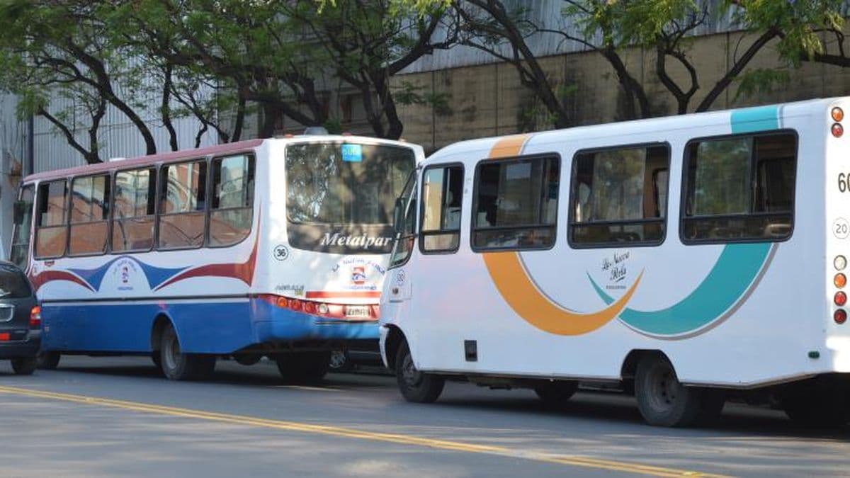 Paro de colectivos: en La Nueva Perla aseguran que la situación es "insostenible"