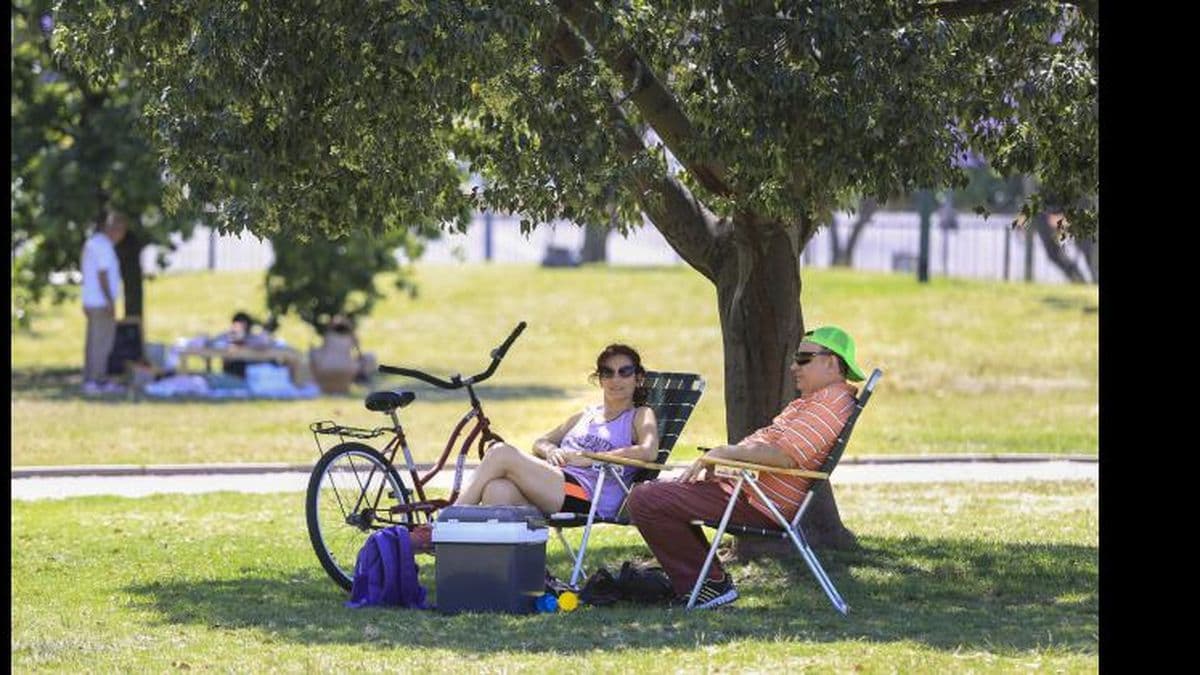 Calor agobiante y tormentas aisladas: cómo estará el clima esta semana
