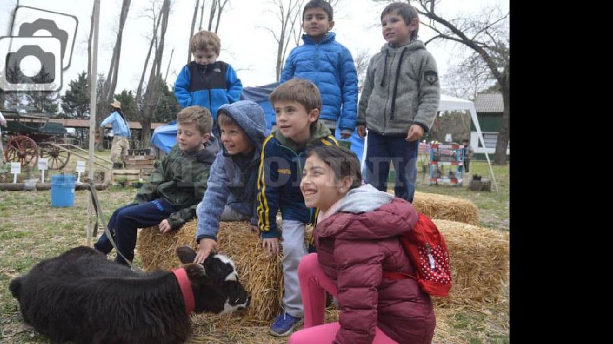 Debate de candidatos a intendente en la Expo Rural de Pergamino