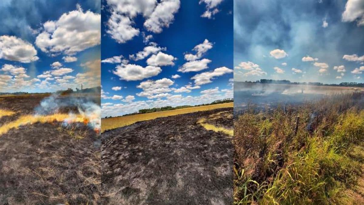 Un incendio forestal de grandes proporciones requirió varias horas de trabajo para extinguirlo
