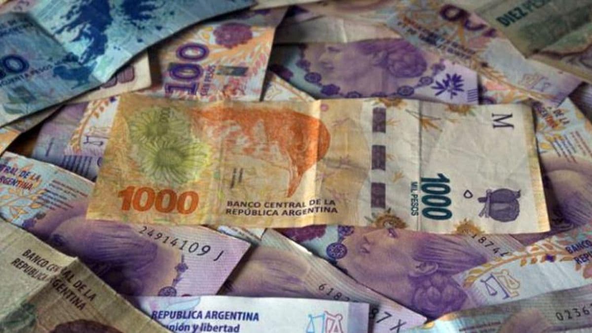 Cuáles fueron los billetes con mayor pérdida de poder adquisitivo en la Argentina
