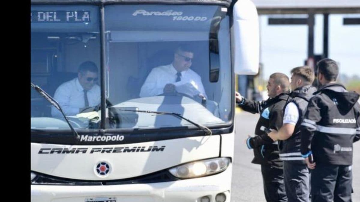 Detectaron irregularidades en 20% de los micros que circularon por la provincia