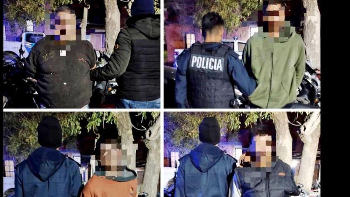 Detuvieron a cinco personas por agredir a policías