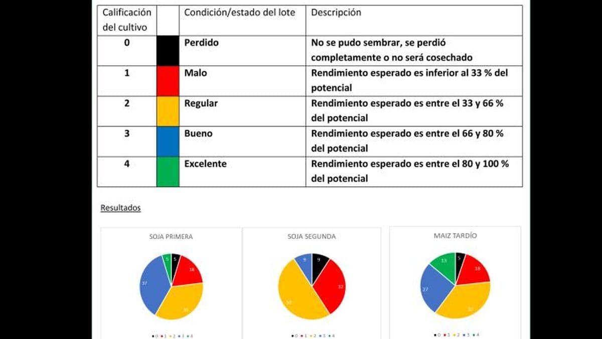 Aianba advirtió que muchos lotes "directamente no se van a cosechar"