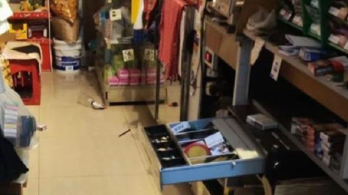 Robaron mercadería y dinero efectivo de un almacén familiar