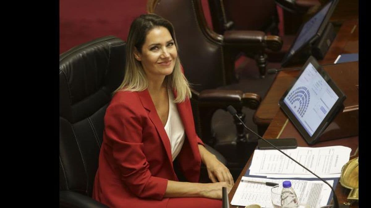 Carolina Losada se lanzó en Santa Fe con fuerte respaldo del Pro