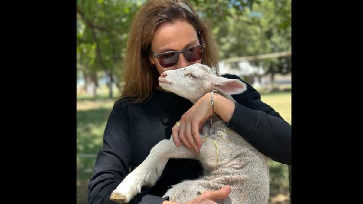 Tambo fábrica de ovejas, un orgullo pergaminense